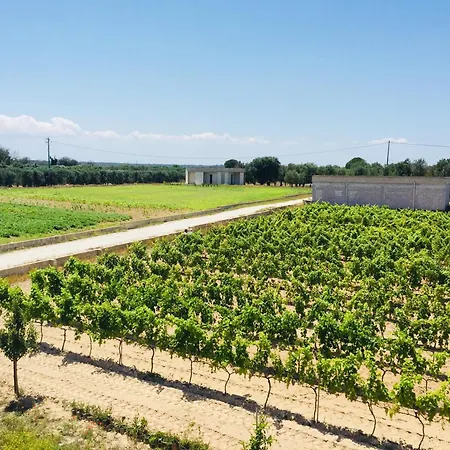 Διαμέρισμα Antico Vigneto *