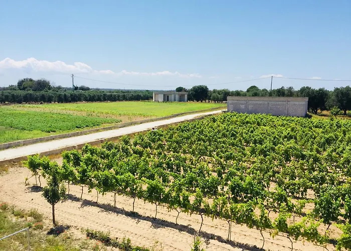 Διαμέρισμα Antico Vigneto *